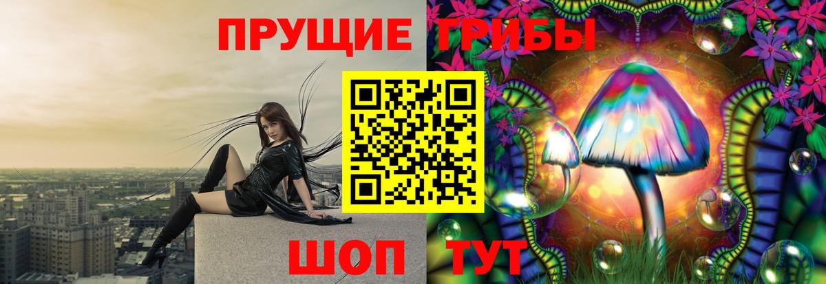 Галлюциногенные грибы GOLDEN TEACHER Урай
