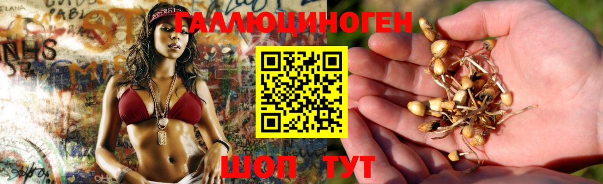 Псилоцибиновые грибы GOLDEN TEACHER  Вход с VPN  даркнет сайт  Урай 