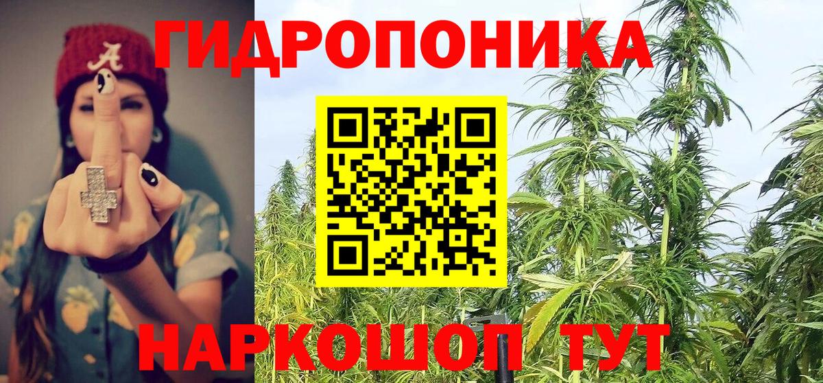 Марихуана планчик  Каннабис конопля  Бошки Шишки индика  Вход с VPN  Урай 