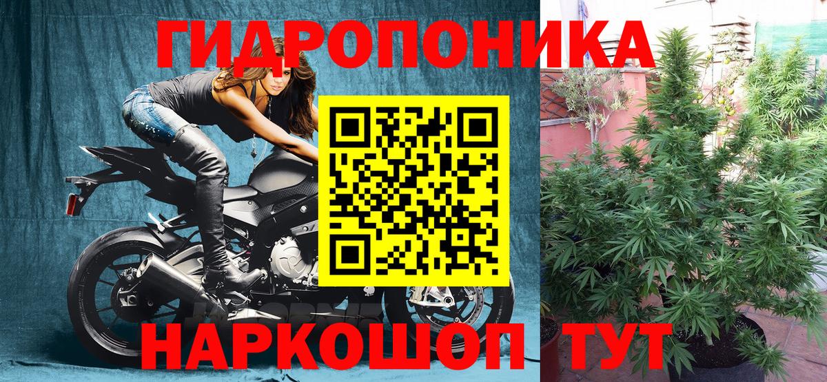 Канабис MAZAR Урай